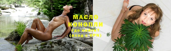 стаф Арсеньев