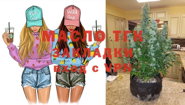 кокс Няндома