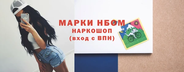 стаф Арсеньев