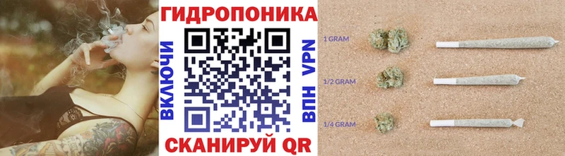 Каннабис планчик  kraken как зайти  Соль-Илецк 